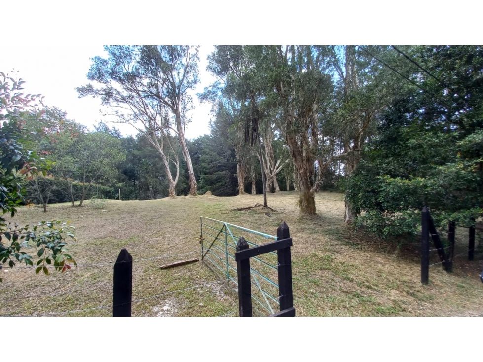 Venta Lote Rionegro vía Llanogrande por Clínica del Campestre. MIXTO — foto 6