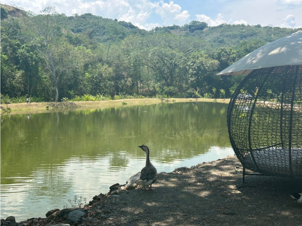 Venta Lotes Parcelación Exclusiva Vía Antigua San Jerónimo a Sopetran — foto 6