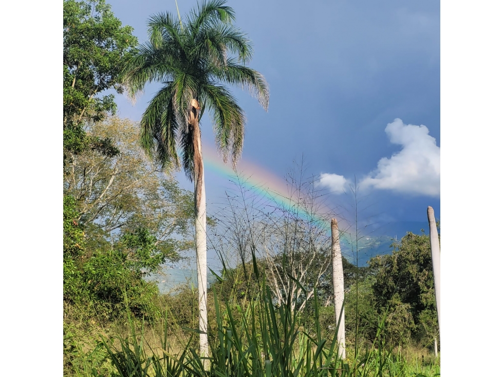 Venta Lotes Campestre en Parcelación en Sopetrán Zona El Rodeo — foto 3