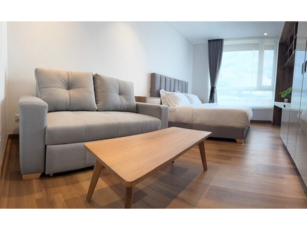 ARRIENDO SUITE DE LUJO EXT. MONO AMBIENTE AMOBLADO SANTA PAULA -5