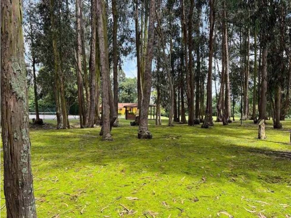 VENDO CASA CONJUNTO CERRADO SANTA MARIA DEL RÍO CHIA -5 — foto 4