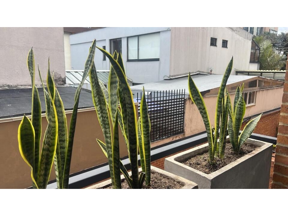VENDO ESTUPENDO APTO + BALCON EN SAN PATRICIO -5 — foto 5
