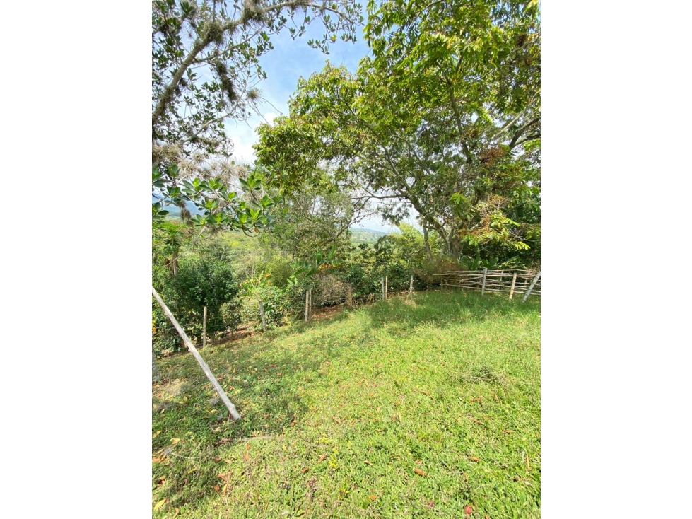 VENTA DE LOTES EN PARAJE DE LA IBERIA VALLE DEL CAUCA. - 3