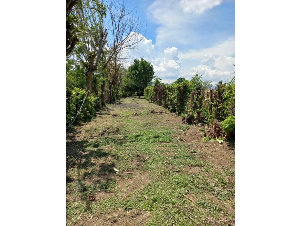 SE VENDE FINCA ANDALUCÍA VALLE DEL CAUCA - 5