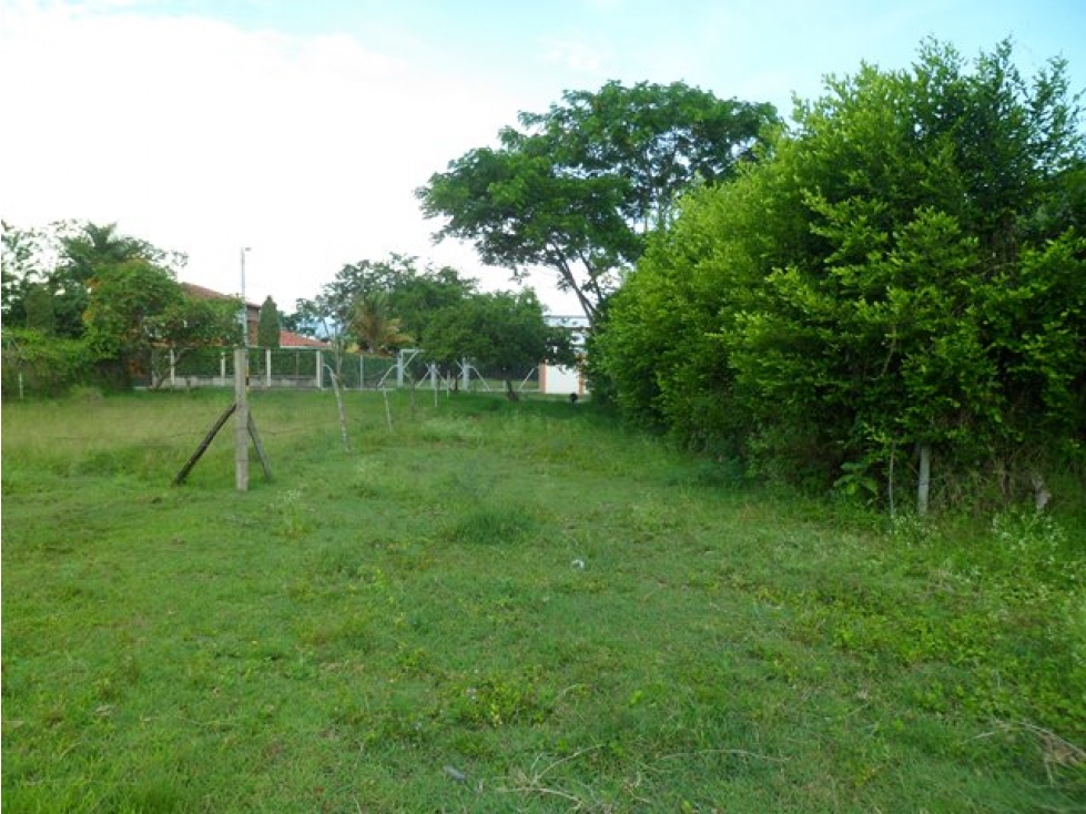 SE VENDE TERRENO URBANO EN ANDALUCIA-BARRIO ALIANZA - 3