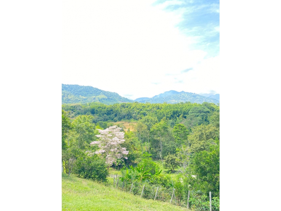 VENTA DE LOTES EN PARAJE DE LA IBERIA VALLE DEL CAUCA. - 6