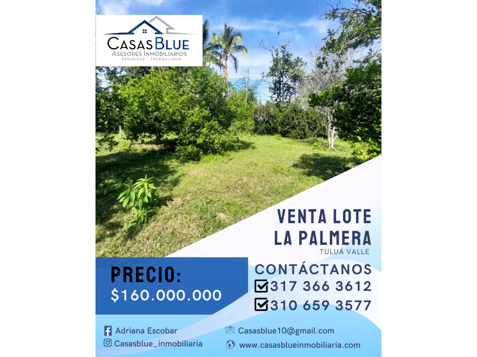 SE VENDE LOTES EN LA PALMERA TULUÁ - 3