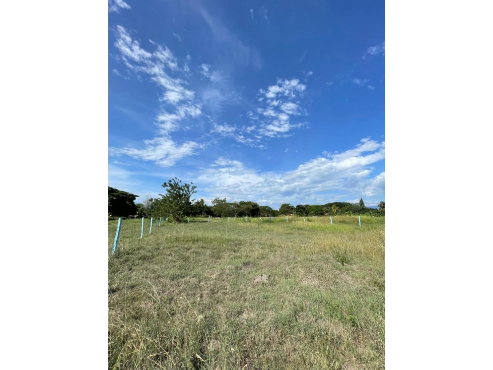 SE VENDE LOTES PALMA REAL NARIÑO - 1
