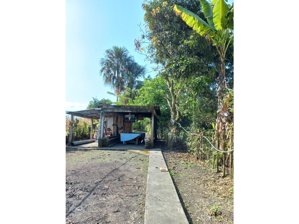 SE VENDE FINCA ANDALUCÍA VALLE DEL CAUCA - 3