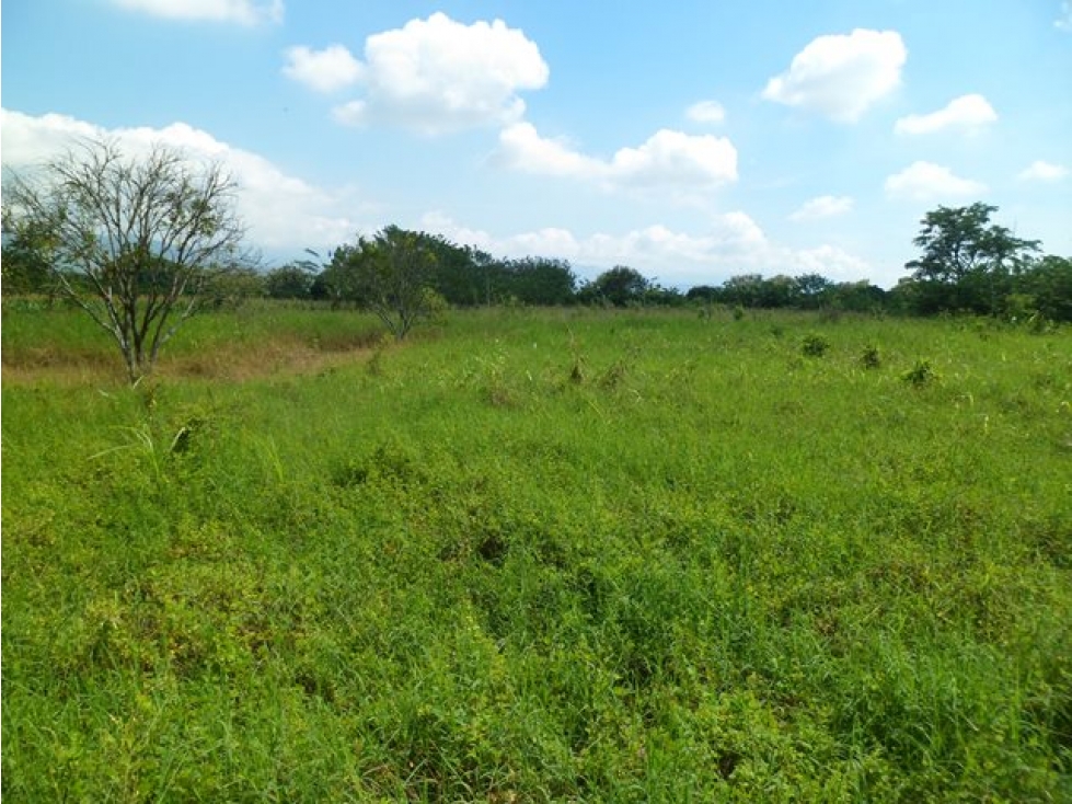 SE VENDE CASA DE CAMPO EN ZAJON DE PIEDRA ANDALUCIA VALLE. - 5