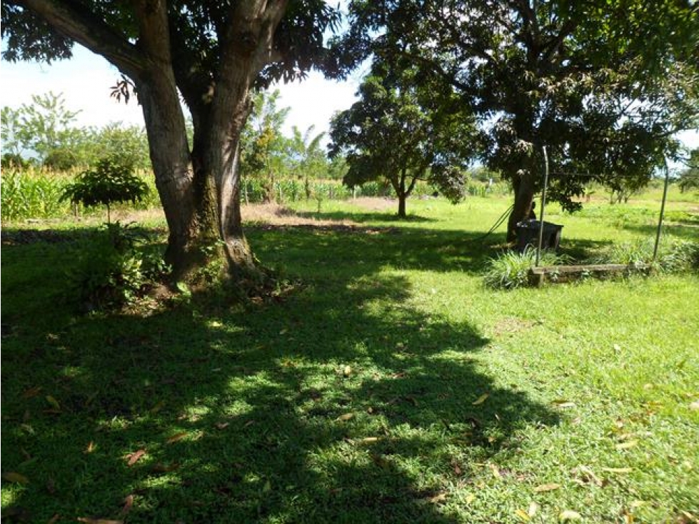 SE VENDE CASA DE CAMPO EN ZAJON DE PIEDRA ANDALUCIA VALLE. - 6