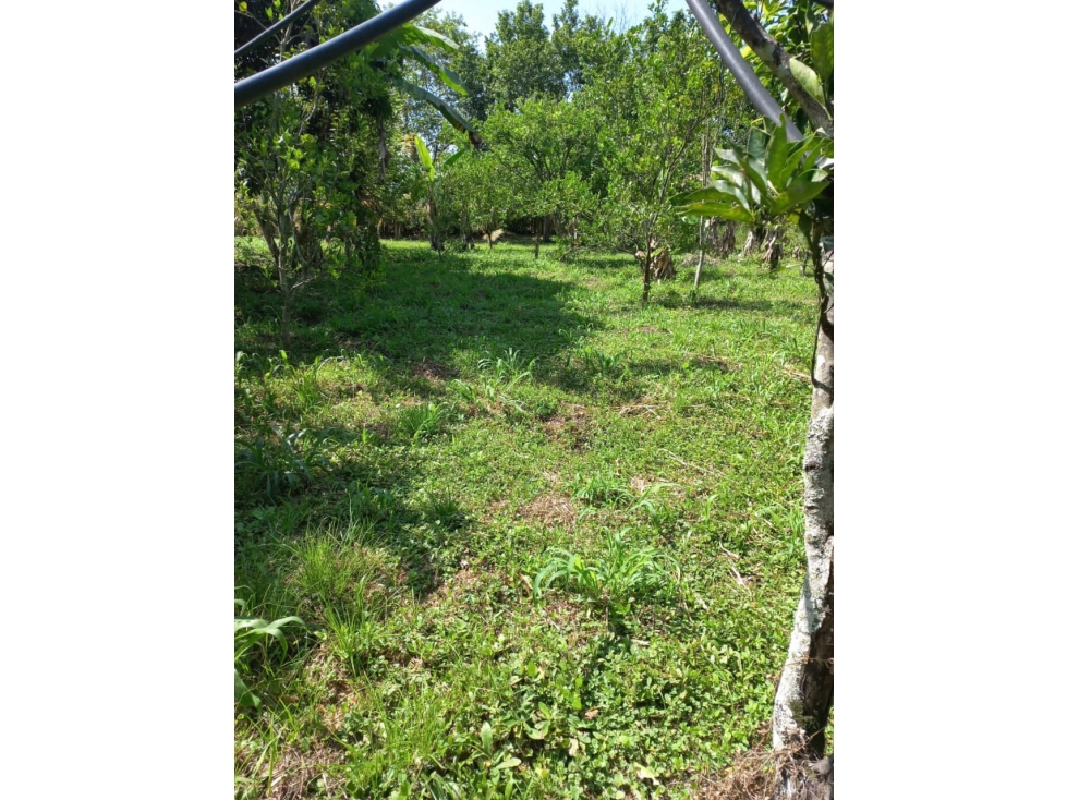 SE VENDE FINCA ANDALUCÍA VALLE DEL CAUCA - 6