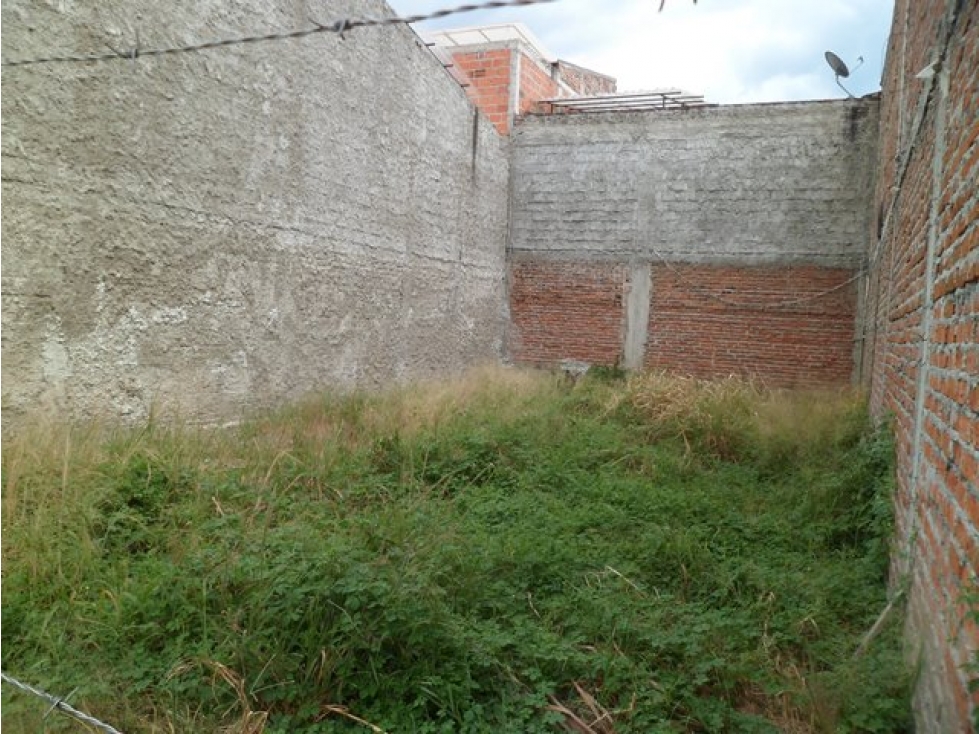 SE VENDE LOTE EN EL BARRIO VILLA CAMPESTRE TULUÁ VALLE. - 2