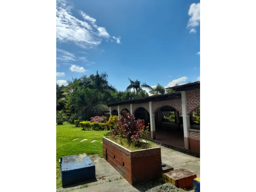 SE VENDE FINCA UBICADA EN LA PALMERA TULUÁ VALLE - 3