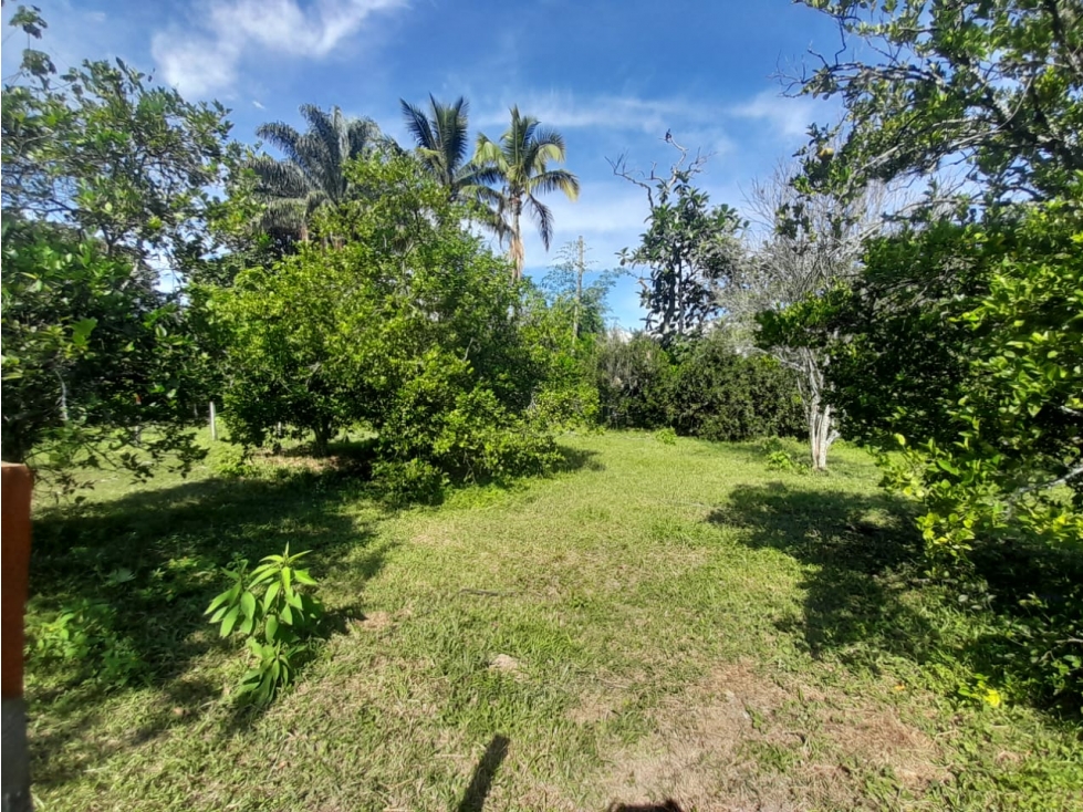 SE VENDE LOTES EN LA PALMERA TULUÁ - 1