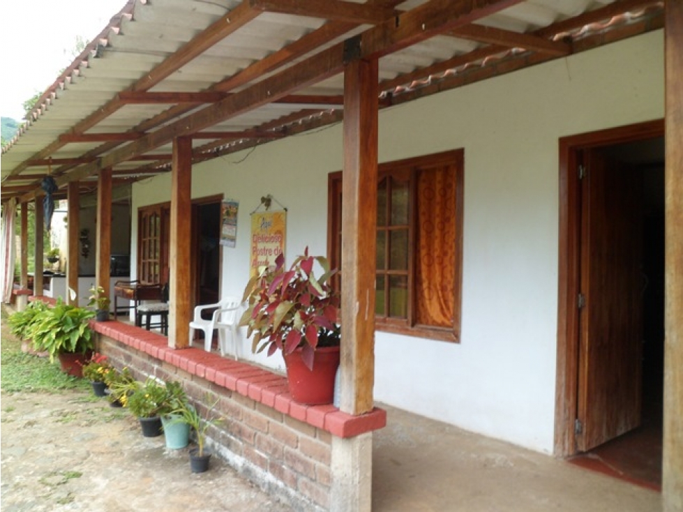 SE VENDE FINCA EN TRUJILLO VALLE. - 2