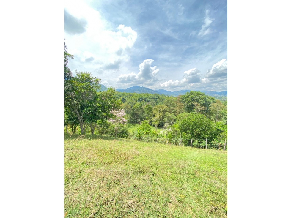 VENTA DE LOTES EN PARAJE DE LA IBERIA VALLE DEL CAUCA. - 2