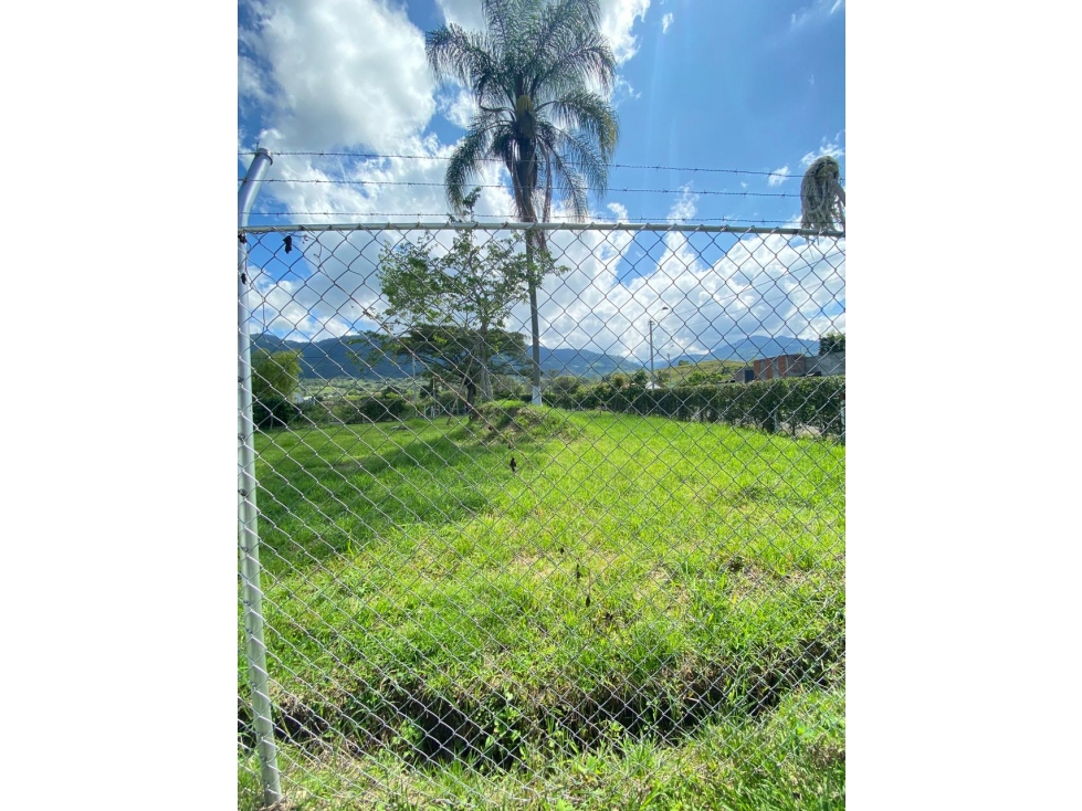 SE VENDE LOTE LA IBERIA TULUA VALLE - 4