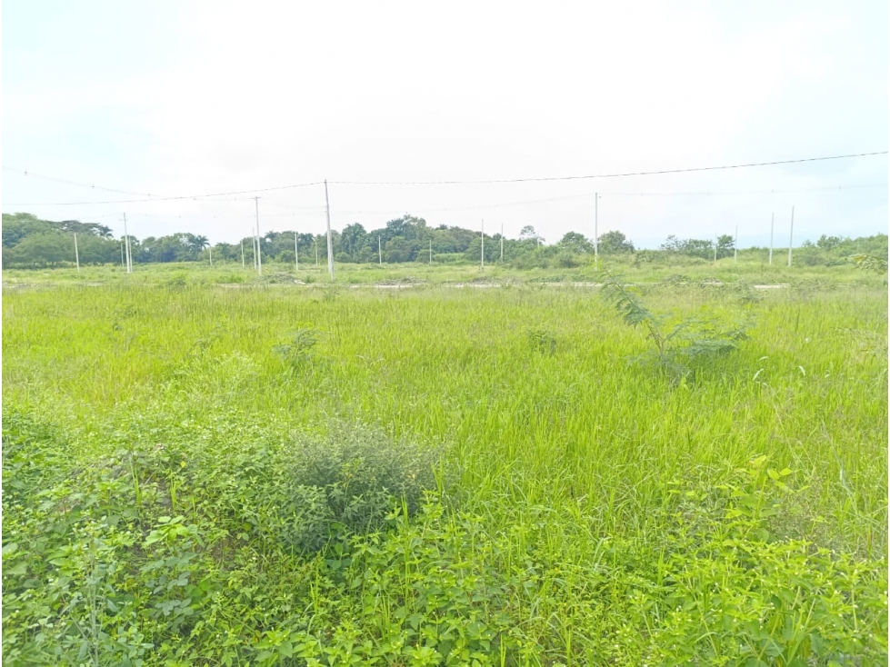 SE VENDE LOTE URBANIZACIÓN TERRA NOVA TULUA VALLE - 6