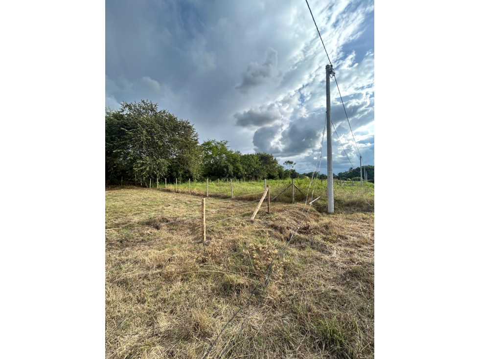 SE VENDE LOTE EN PARCELACION CAMPESTRE PORTAL VERDE ANDALUCÍA - 3