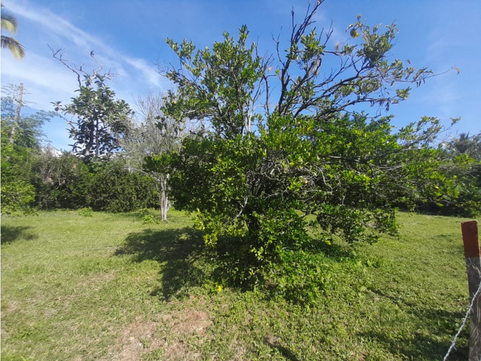 SE VENDE LOTES EN LA PALMERA TULUÁ - 2