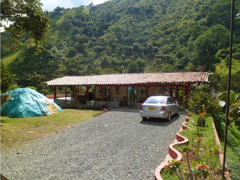 SE VENDE FINCA EN TRUJILLO VALLE DEL CAUCA - 6