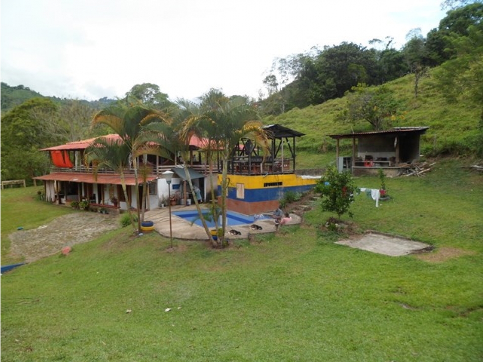 SE VENDE FINCA EN TRUJILLO VALLE. - 5