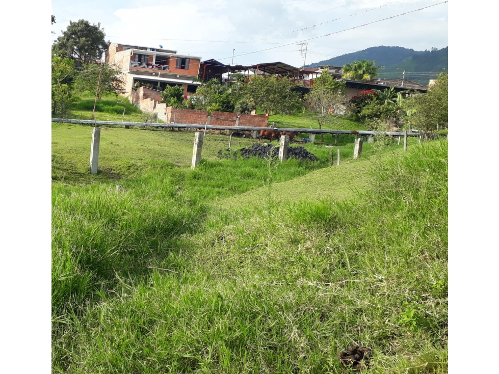 VENTA LOTE EN LA MARINA TULUÁ VALLE DEL CAUCA - 4