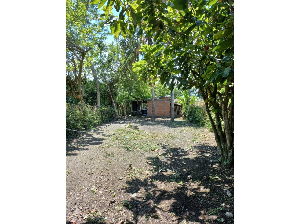 SE VENDE FINCA ANDALUCÍA VALLE DEL CAUCA - 4