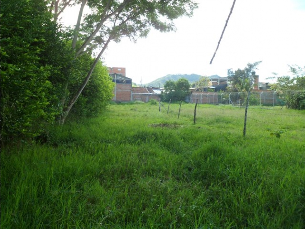SE VENDE TERRENO URBANO EN ANDALUCIA-BARRIO ALIANZA - 5
