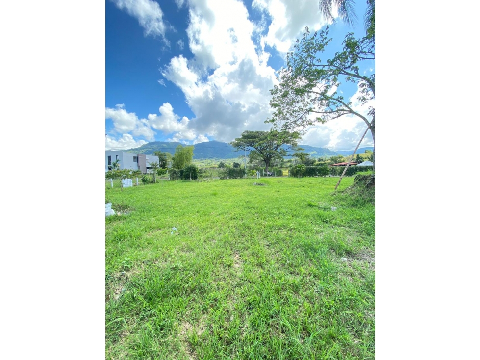 SE VENDE LOTE LA IBERIA TULUA VALLE - 6