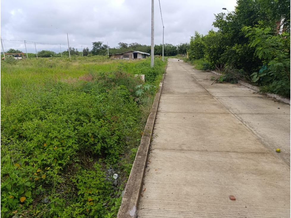 SE VENDE LOTE URBANIZACIÓN TERRA NOVA TULUA VALLE - 3