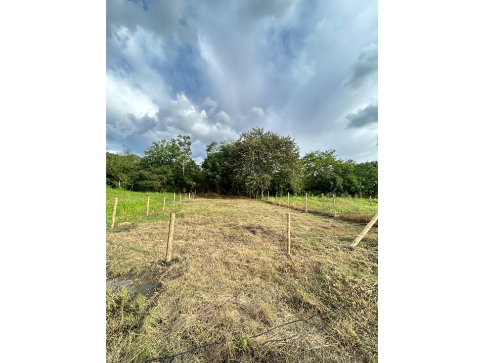 SE VENDE LOTE EN PARCELACION CAMPESTRE PORTAL VERDE ANDALUCÍA - 4