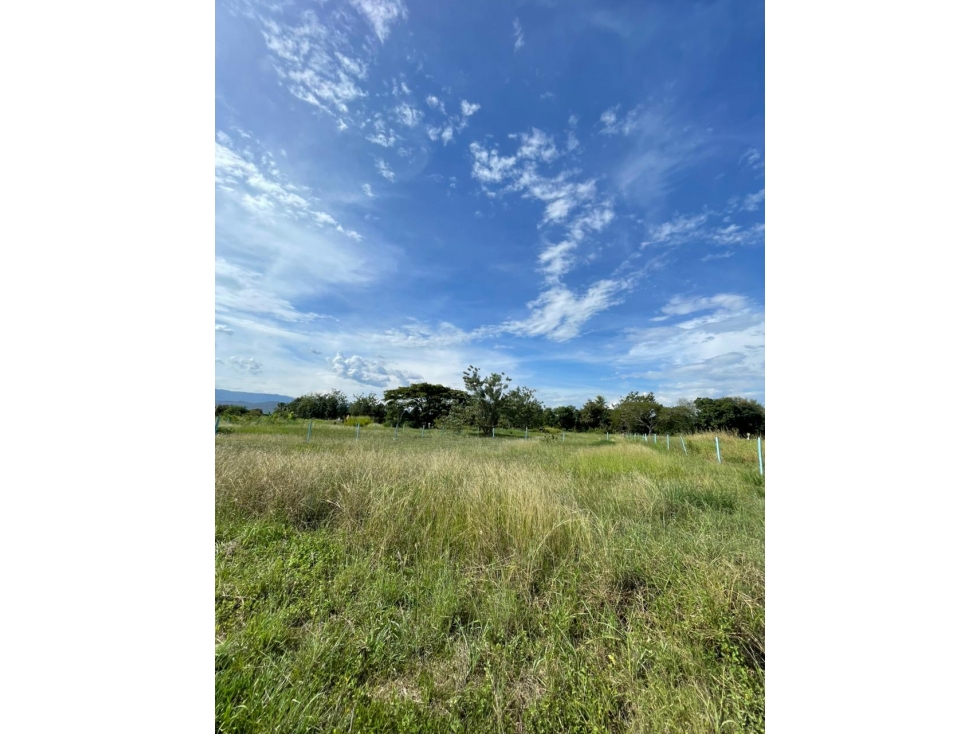 SE VENDE LOTES PALMA REAL NARIÑO - 4