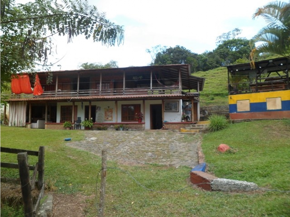 SE VENDE FINCA EN TRUJILLO VALLE. - 4