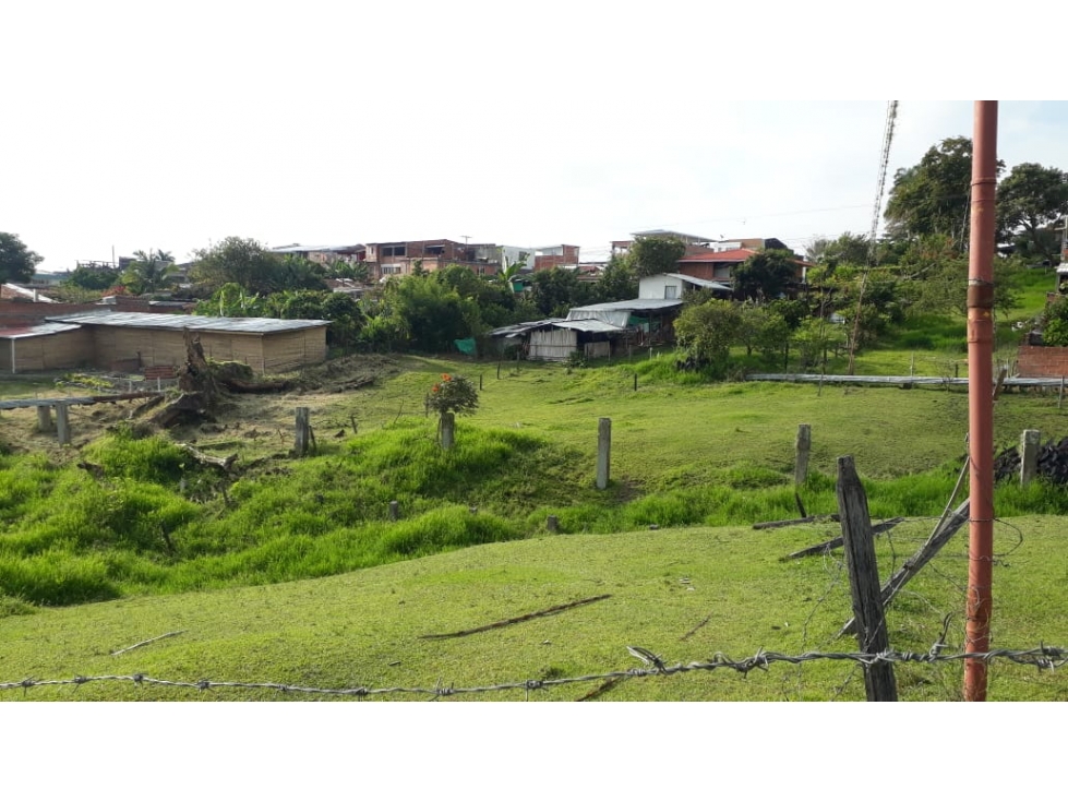 VENTA LOTE EN LA MARINA TULUÁ VALLE DEL CAUCA - 5
