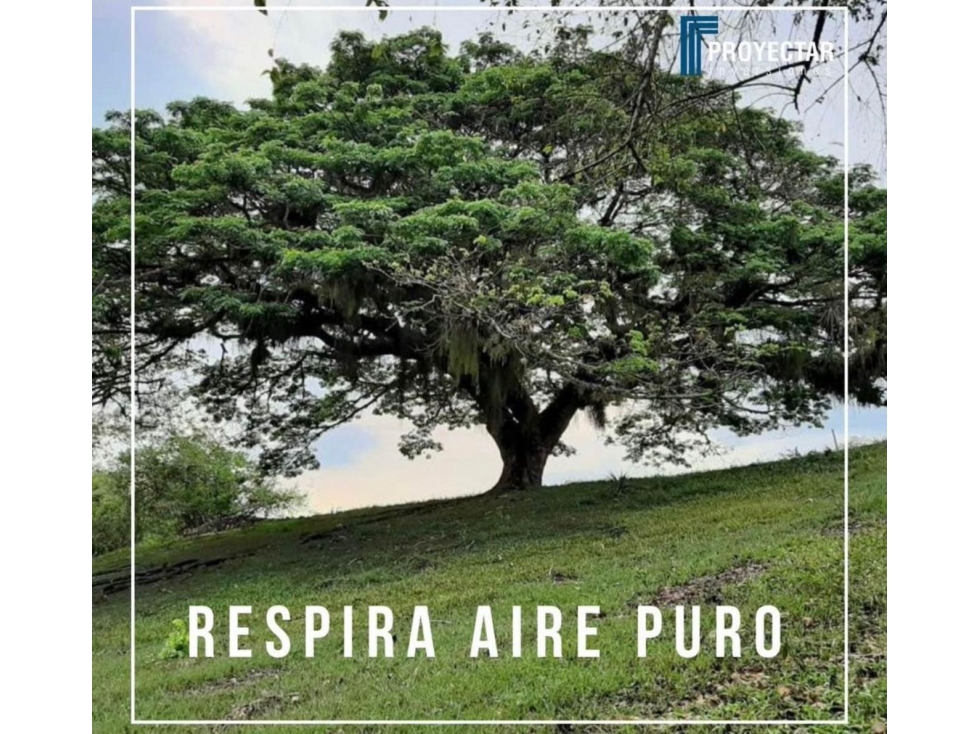 SE VENDE LOTE NO. 156 EN CONJUNTO CAMPESTRE CERRO DULCE. - 2