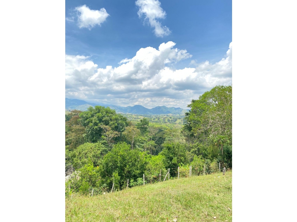 VENTA DE LOTES EN PARAJE DE LA IBERIA VALLE DEL CAUCA. - 4