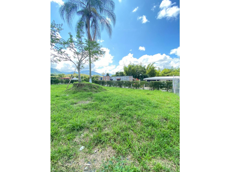 SE VENDE LOTE LA IBERIA TULUA VALLE - 2