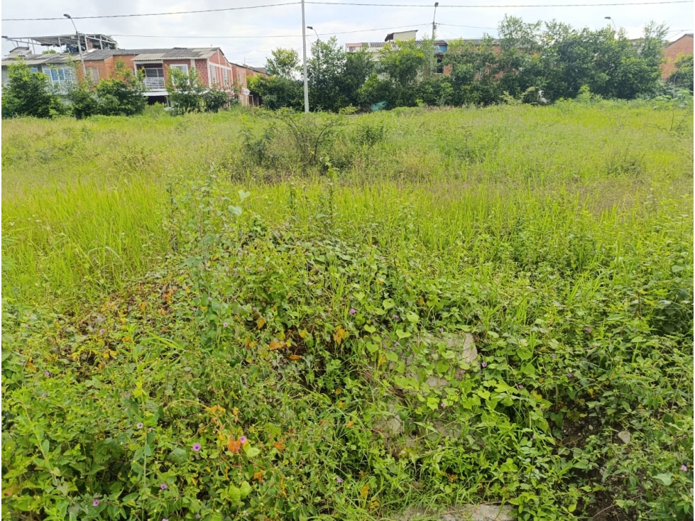 SE VENDE LOTE URBANIZACIÓN TERRA NOVA TULUA VALLE - 5