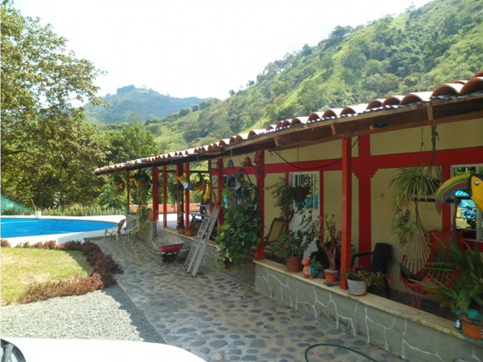 SE VENDE FINCA EN TRUJILLO VALLE DEL CAUCA - 6