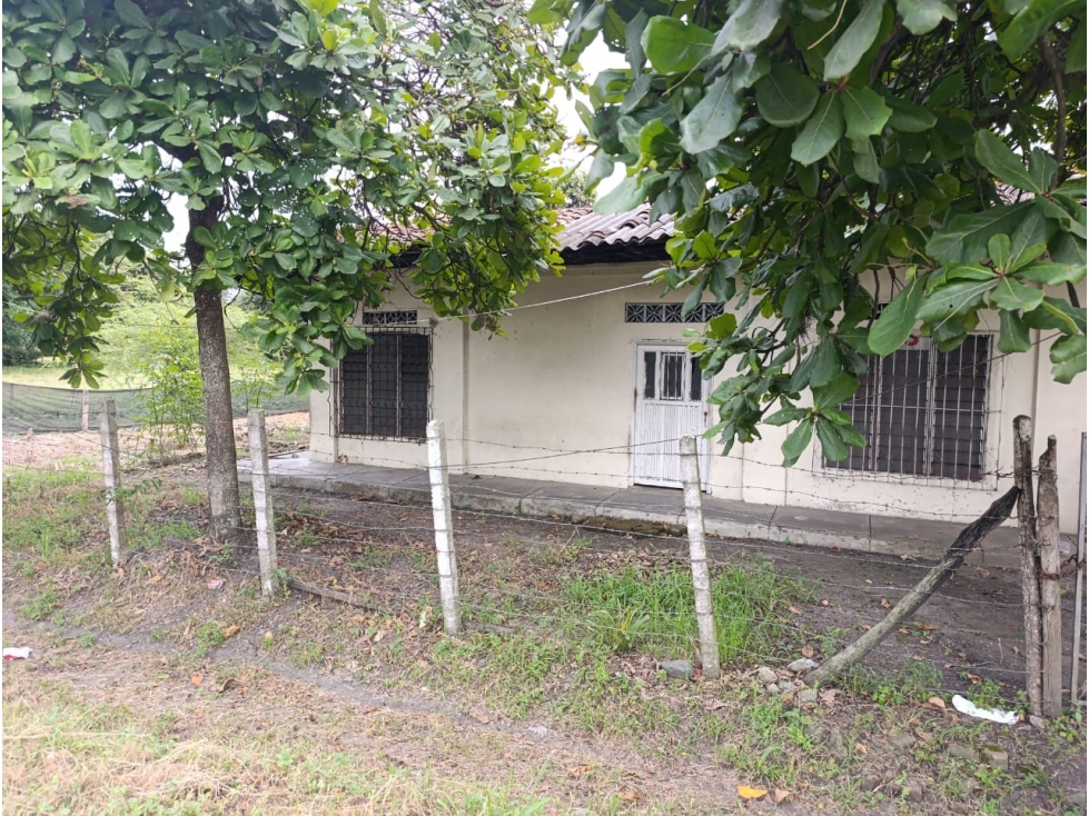 SE VENDE FINCA LA URIBE SOBRE DOBLE CALZADA BUGALAGRANDE - 2