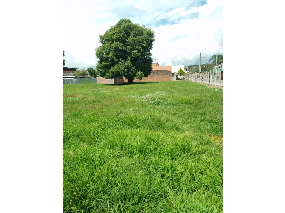 SE VENDE LOTE EN AGUACLARA EN TULUÁ SOBRE VIA PRINCIPAL - 5
