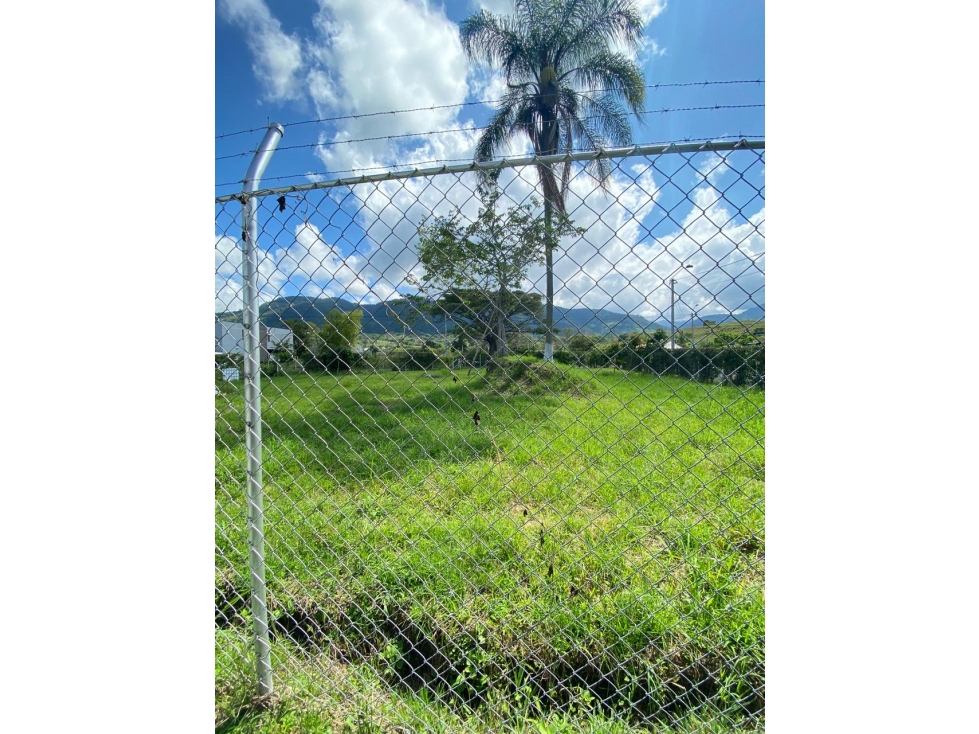 SE VENDE LOTE LA IBERIA TULUA VALLE - 3