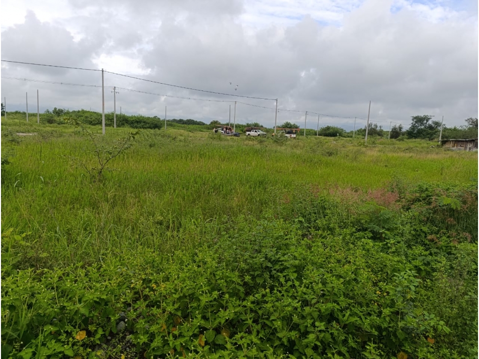 SE VENDE LOTE URBANIZACIÓN TERRA NOVA TULUA VALLE - 1