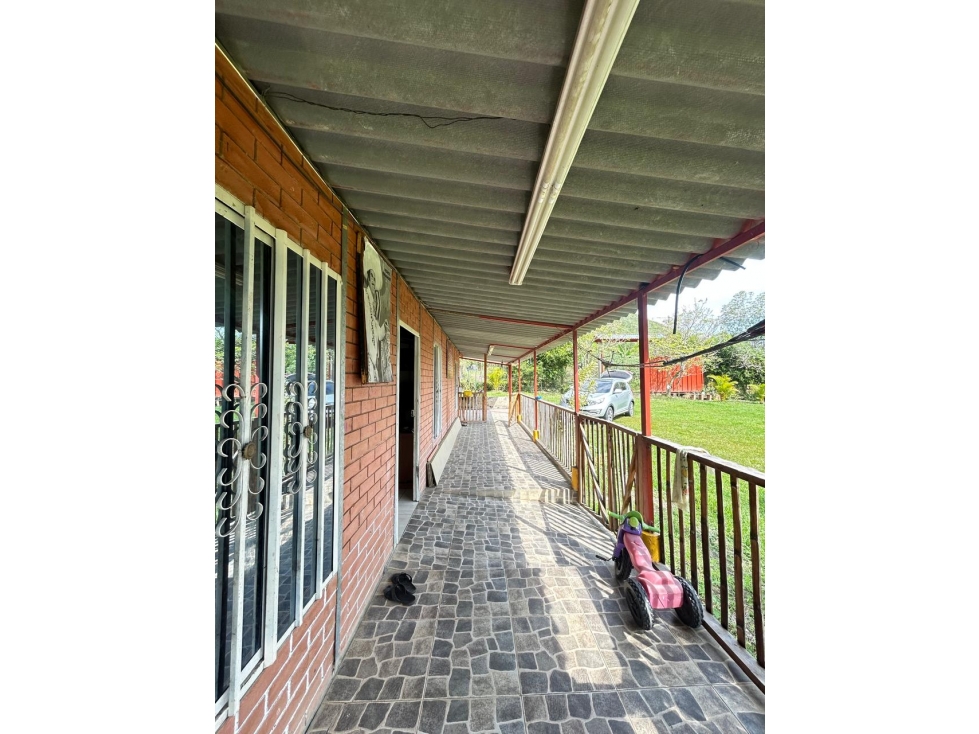 SE VENDE FINCA EN PORTUGAL DE PIEDRAS VALLE DEL CAUCA - 6