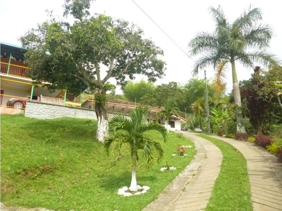 SE VENDE FINCA EN TRUJILLO VALLE DEL CAUCA. - 2