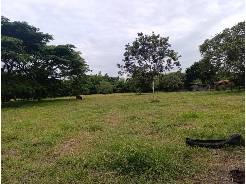 SE VENDE FINCA LA URIBE SOBRE DOBLE CALZADA BUGALAGRANDE - 6