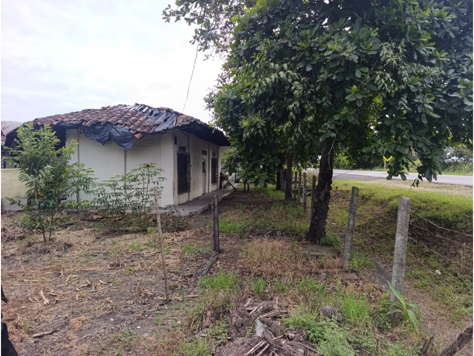 SE VENDE FINCA LA URIBE SOBRE DOBLE CALZADA BUGALAGRANDE - 3