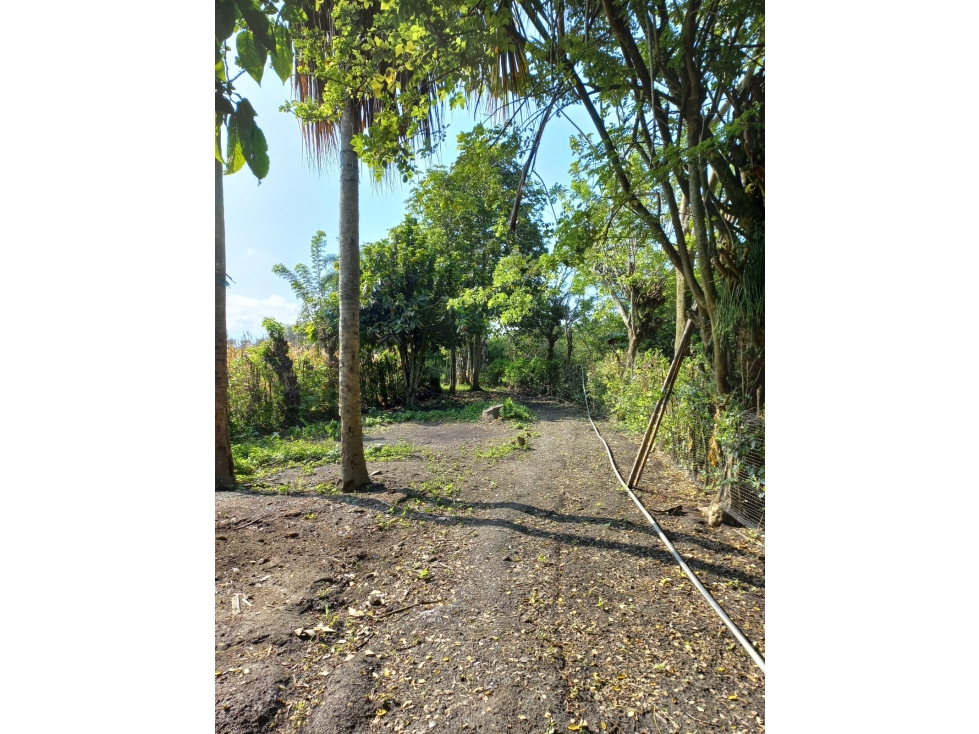 SE VENDE FINCA ANDALUCÍA VALLE DEL CAUCA - 2